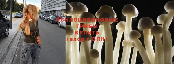 твердый Покров