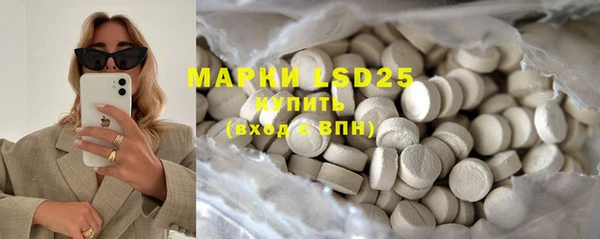 PSILOCYBIN Алзамай