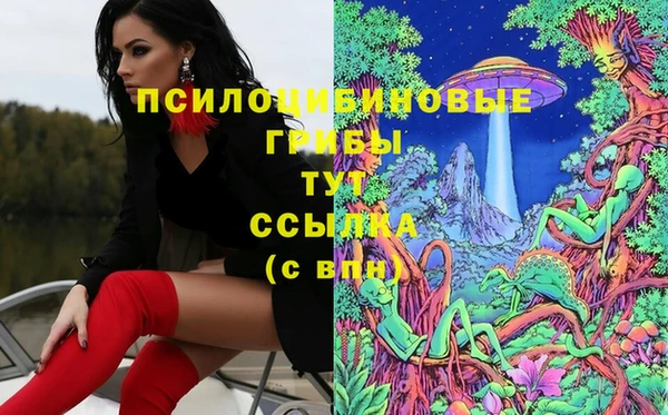 индика Алексеевка