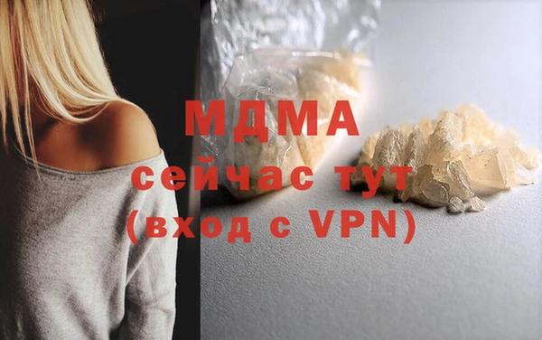 PSILOCYBIN Алзамай