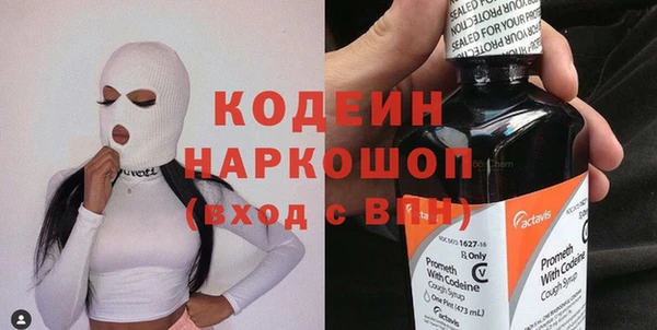 PSILOCYBIN Алзамай