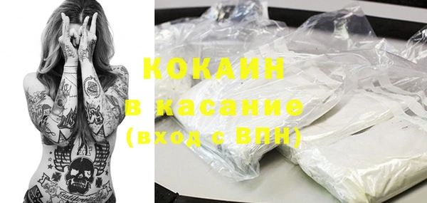 индика Алексеевка